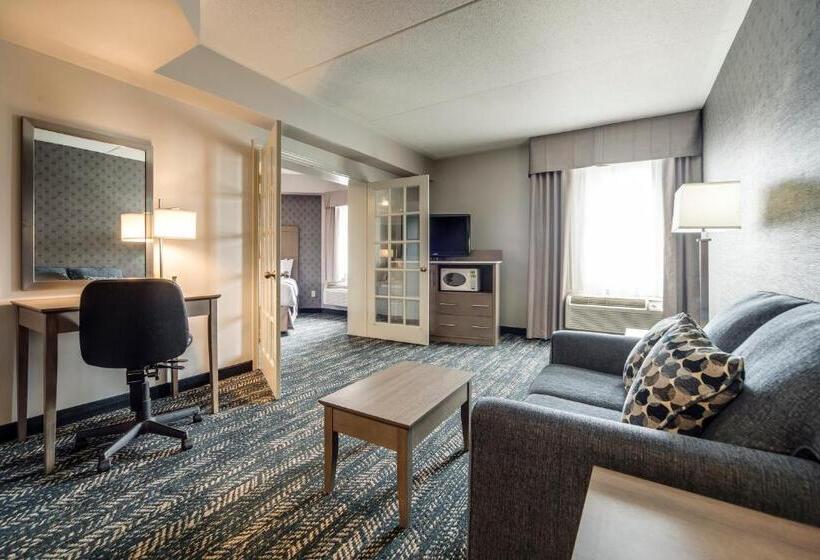 هتل Monte Carlo Inn Brampton