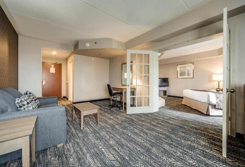 هتل Monte Carlo Inn Brampton