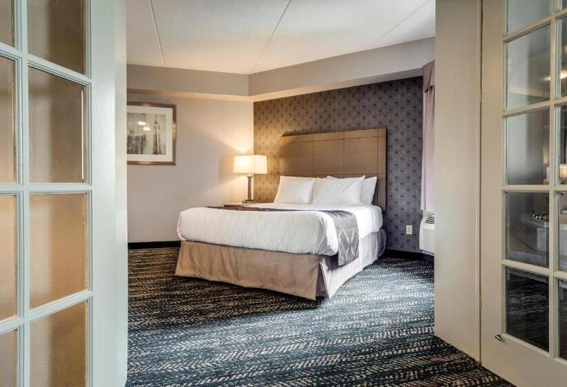 هتل Monte Carlo Inn Brampton