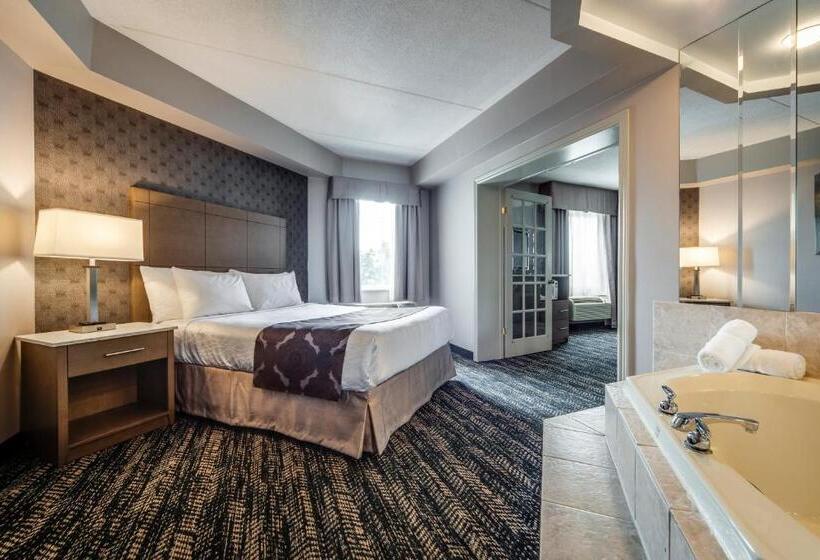 هتل Monte Carlo Inn Brampton