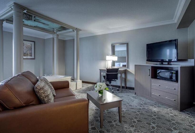 酒店 Monte Carlo Inn Markham