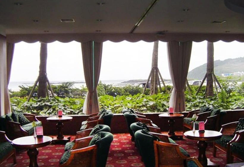 Fotos del hotel Ocean Grand:  10