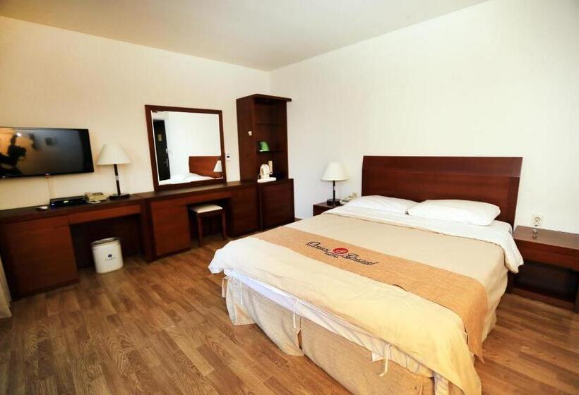 Fotos del hotel Ocean Grand:  25