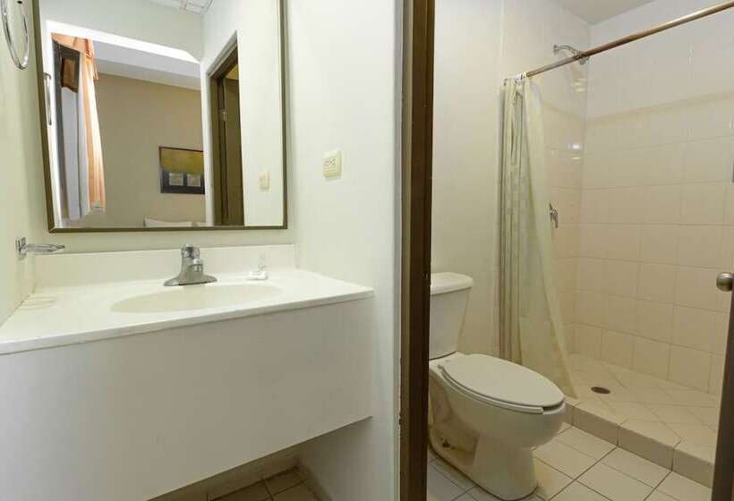 Fotos del hotel Plaza Del Arco Express:  11