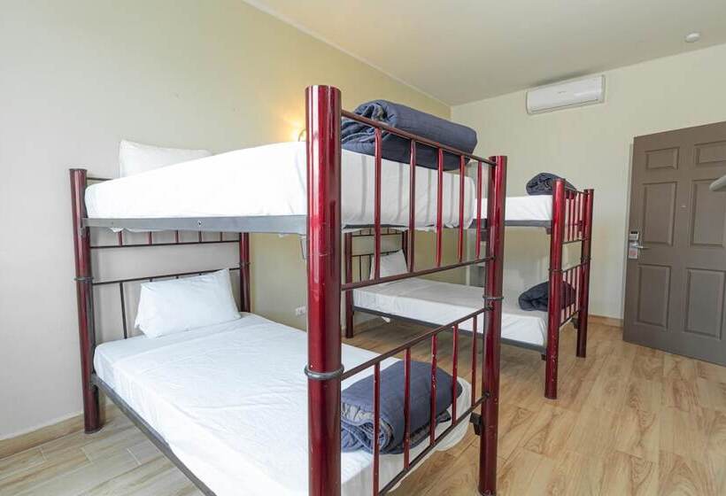Fotos del hotel Plaza Del Arco Express:  12