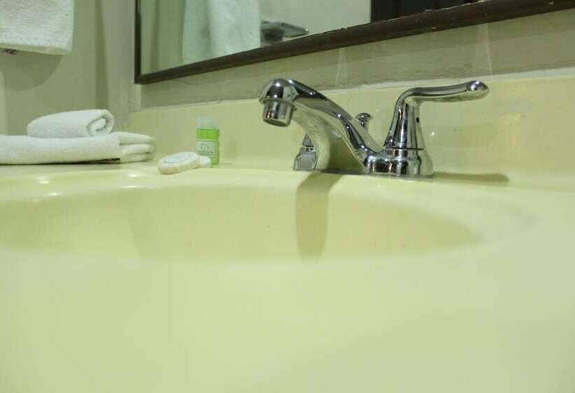 Fotos del hotel Plaza Del Arco  Monterrey:  21