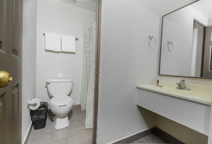 Fotos del hotel Plaza Del Arco  Monterrey:  8