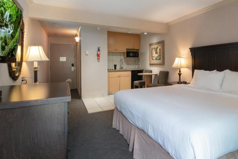 فندق Prestige Inn Nelson