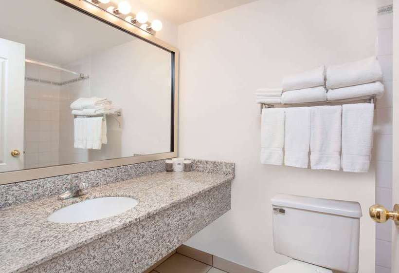 Ramada By Wyndham Red Deer Hotel & Suites