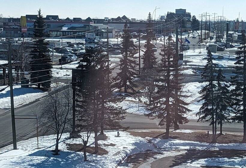 ホテル Divya Sutra Plaza And Conference Centre Calgary Airport