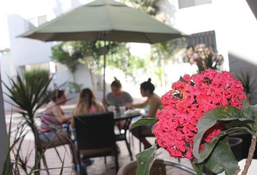 هتل Seven Crown Express & Suites By Kavia