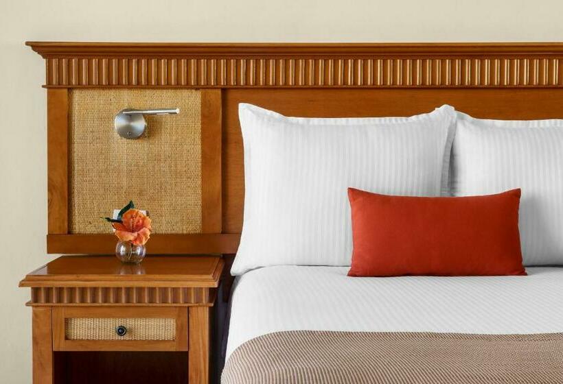 Fotos del hotel The Reef Coco Beach & Spa Optional All Inclusive:  35 Fotos del hotel The Reef Coco Beach & Spa Optional All Inclusive:  35