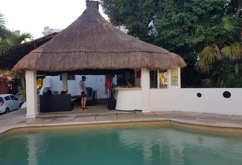 Fotos del hotel Tropical Casablanca Party Zone:  11