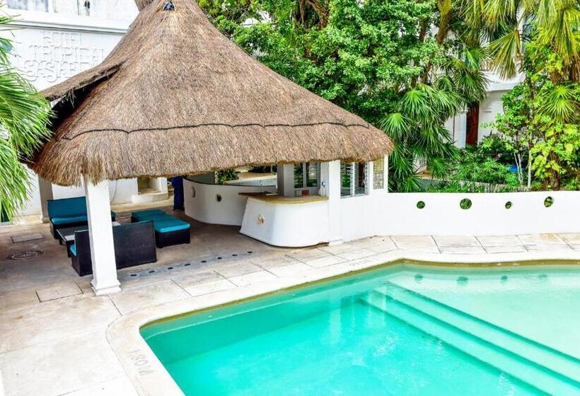 Fotos del hotel Tropical Casablanca Party Zone:  14