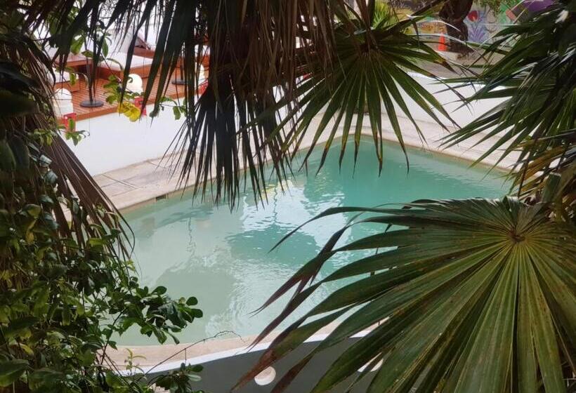 Fotos del hotel Tropical Casablanca Party Zone:  25