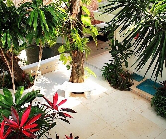 Fotos del hotel Tropical Casablanca Party Zone:  44