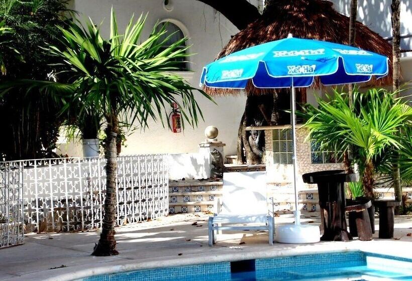 Fotos del hotel Tropical Casablanca Party Zone:  45