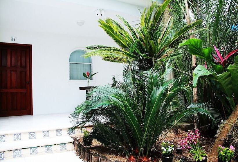 Fotos del hotel Tropical Casablanca Party Zone:  46