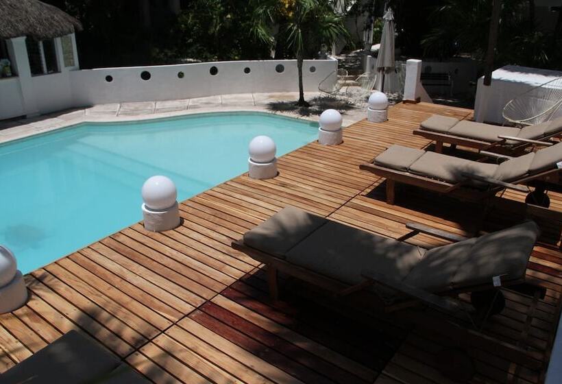 Fotos del hotel Tropical Casablanca Party Zone:  55
