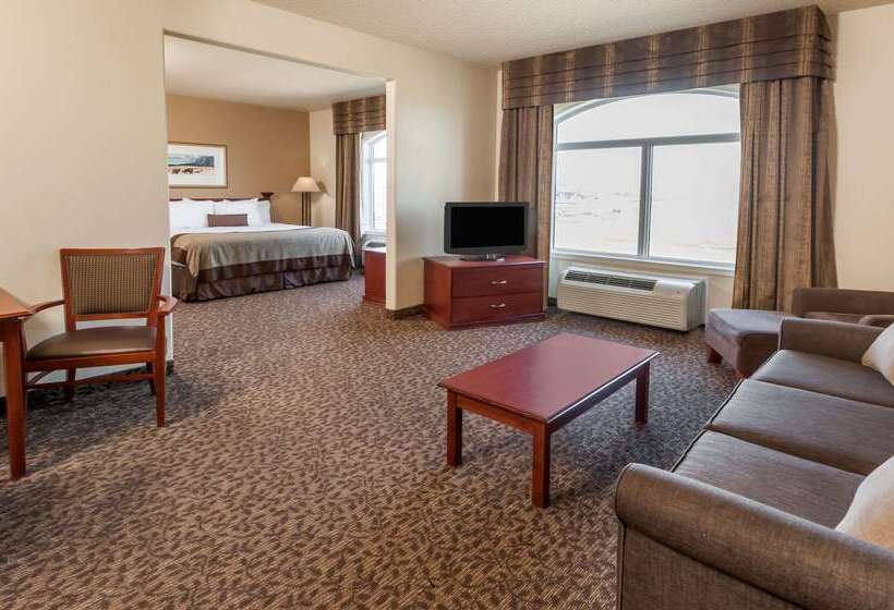 هتل Wingate By Wyndham Edmonton West