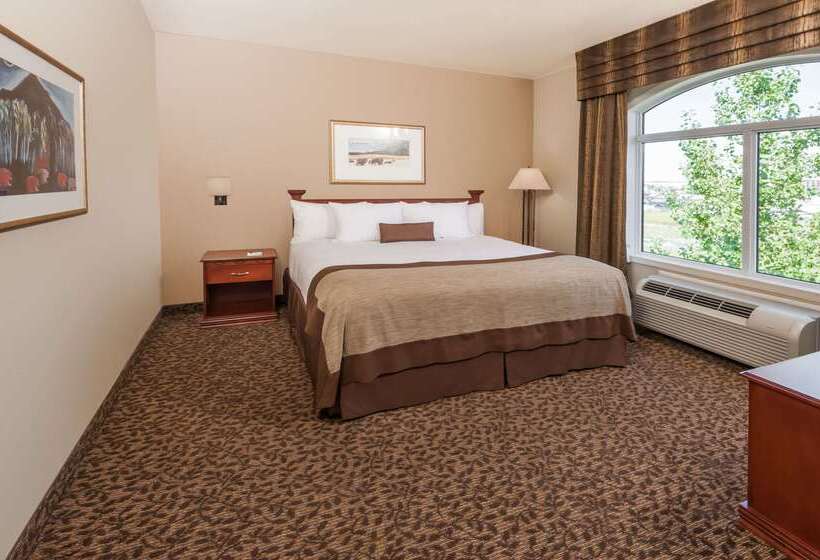 هتل Wingate By Wyndham Edmonton West