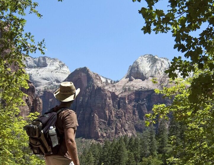 هتل Zion Lodge   Inside The Park
