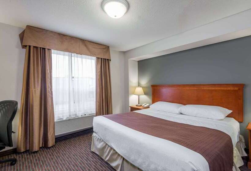 Motel Super 8 By Wyndham Grande Prairie