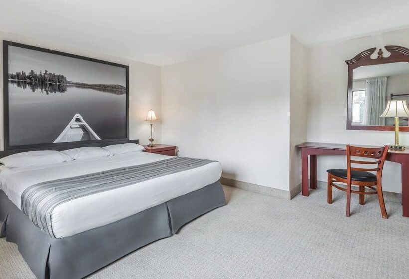 모텔 Super 8 By Wyndham Guelph