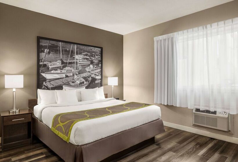 مُتل Super 8 By Wyndham Sarnia On