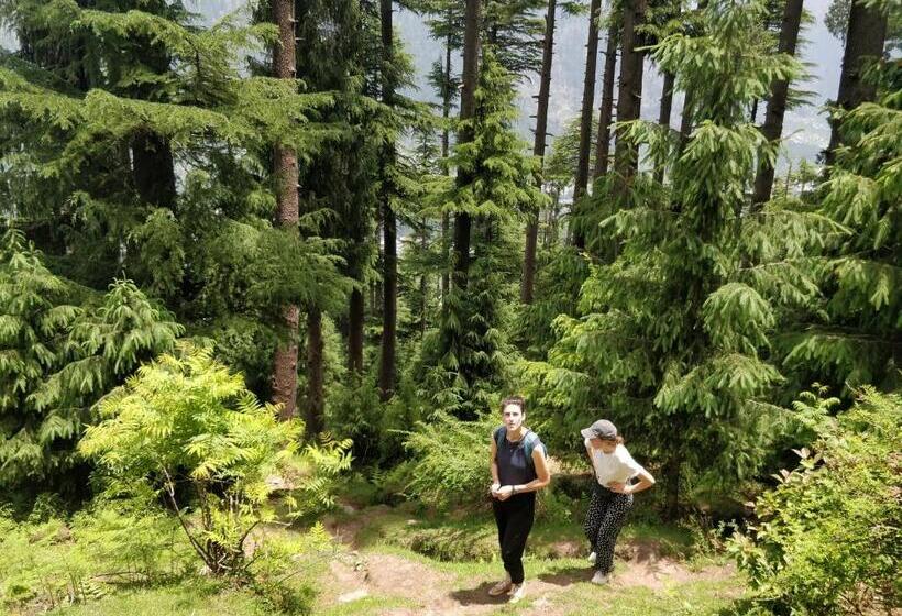 פונדק Madpackers Manali