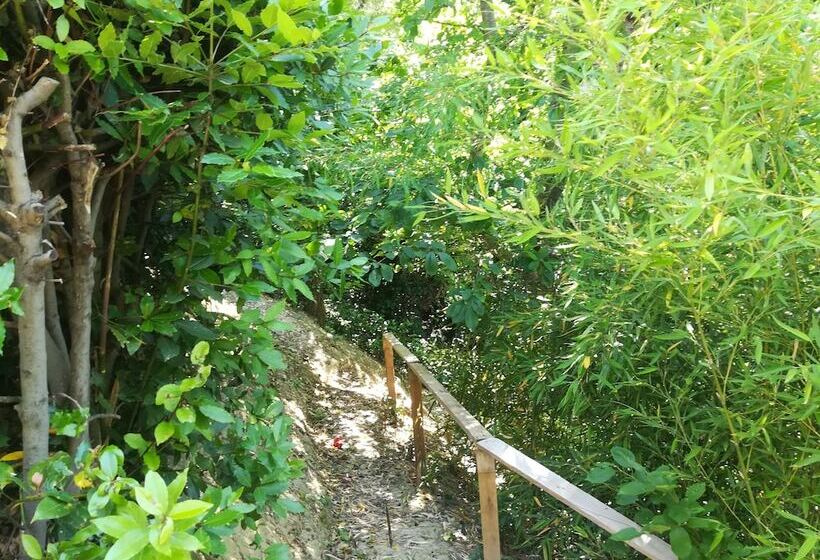 Angolo Felice B&b