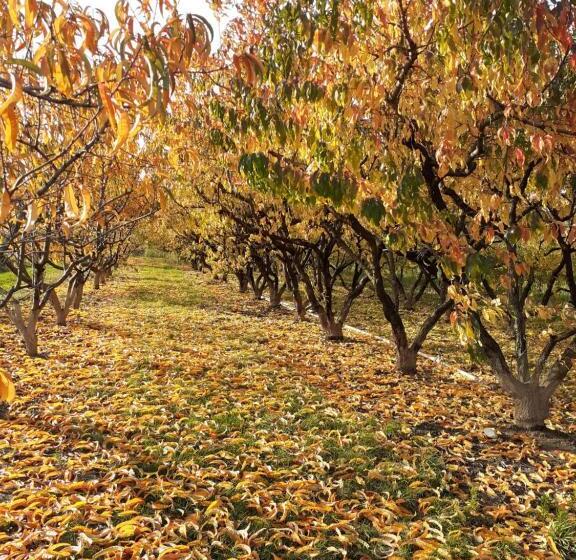 住宿加早餐  Aux Pieds Des Vignes