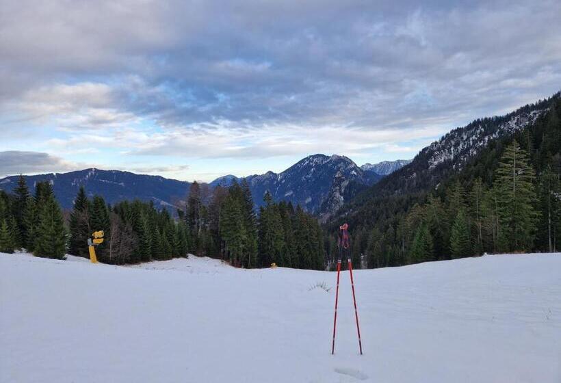 ベッドアンドブレックファースト Gästehaus Neu Am Passionstheater