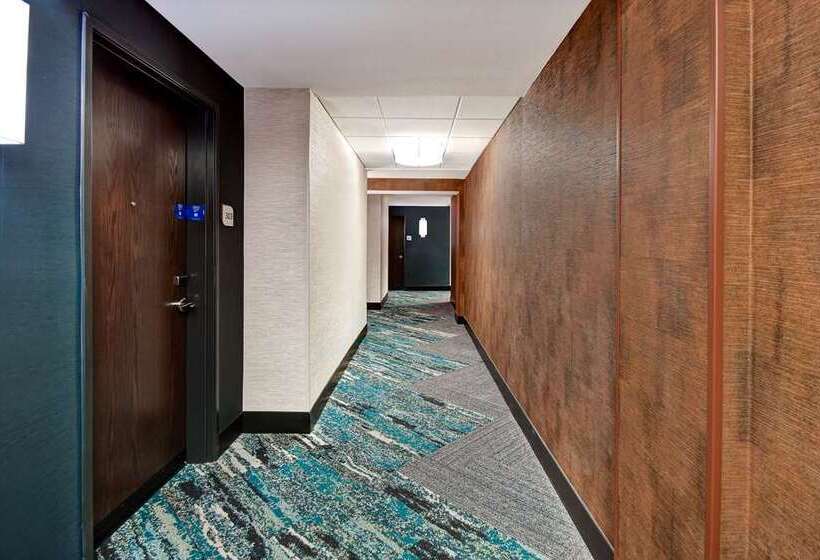 هتل Hilton Garden Inn Kalamazoo