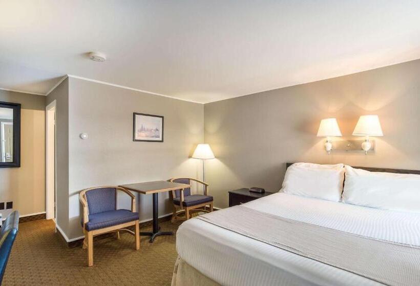 فندق على الطريق Rodeway Inn