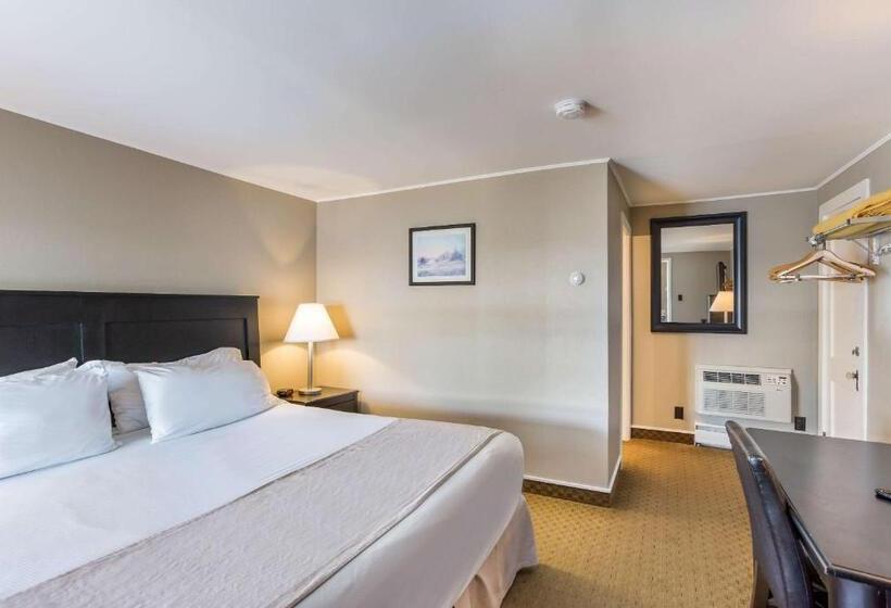 فندق على الطريق Rodeway Inn