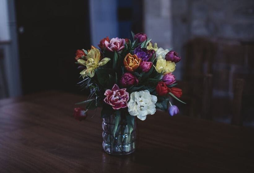 ペンション Gîtes Chez Antonin