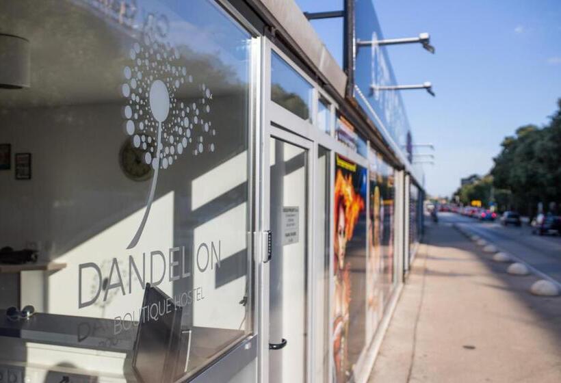 Dandelion Boutique Hostel