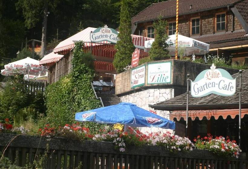 호텔 Gästehaus Zur Lilie