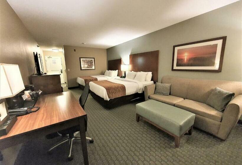 هتل Amerivu Inn And Suites   Chisago City