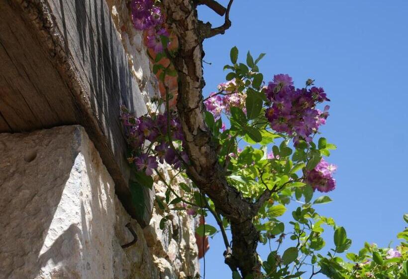 تختخواب و صبحانه Le Tamaris Chambres D'hôtes