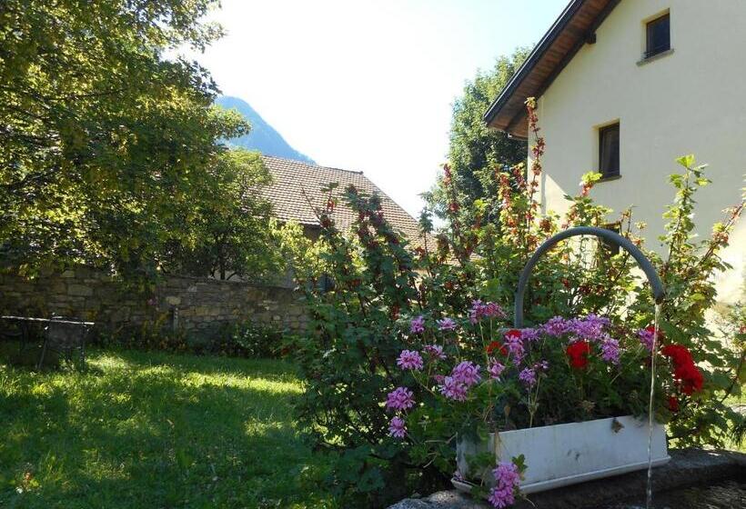 Dazio Grande B&b