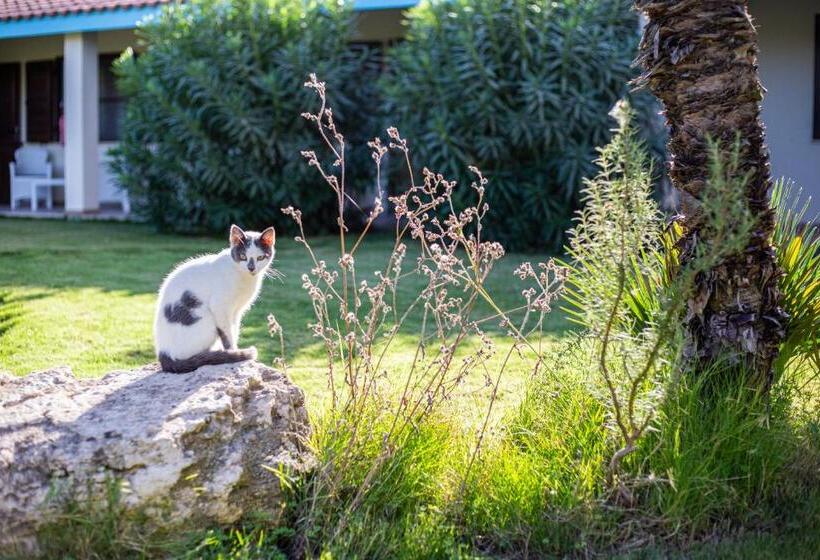هتل Agriturismo Is Cortillaris