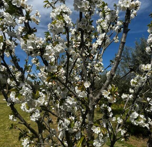 בית מלון כפרי Quinta Das Oliveiras Turismo Rural