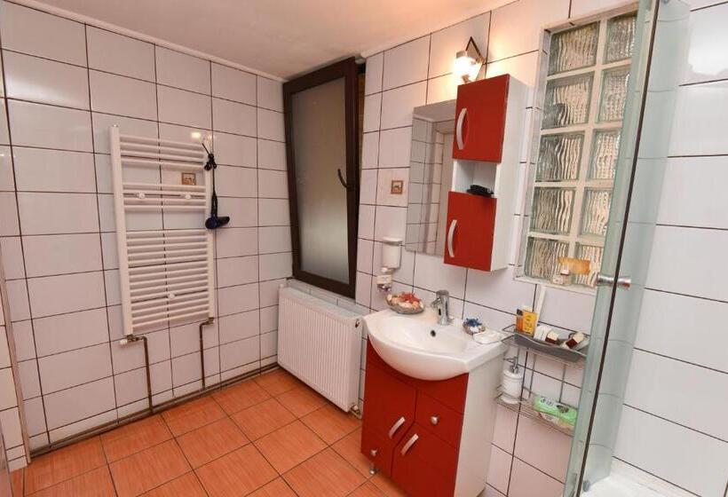 פנסיון Casa Tudor