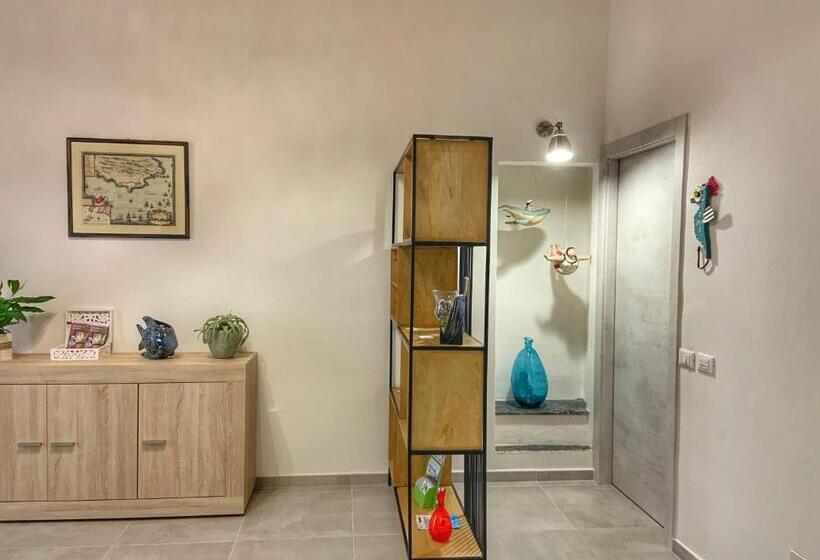 膳宿费 Piombino 1428