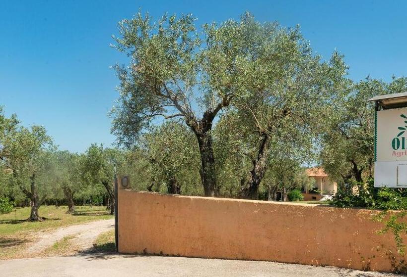 تختخواب و صبحانه Welcomely   Country Guesthouse Olivar