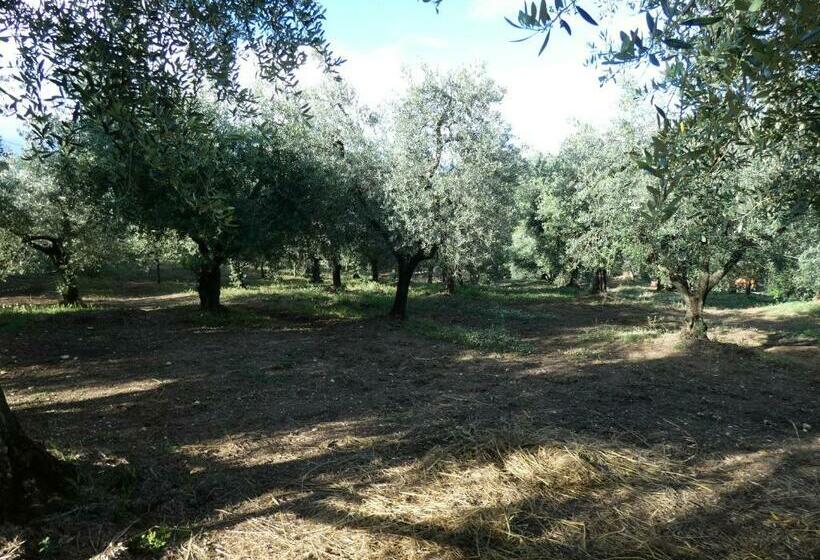 فندق I Due Melograni Agriresort