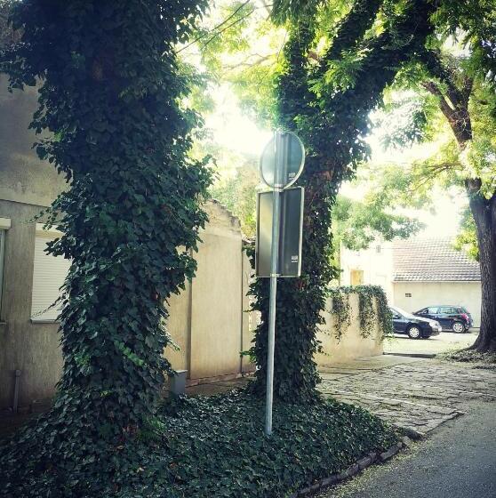 پانسیون Centar