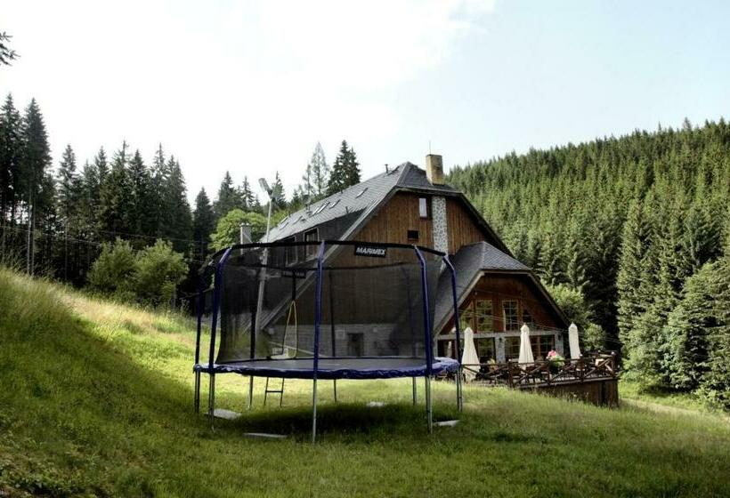 פנסיון Horský Hotel Vidly